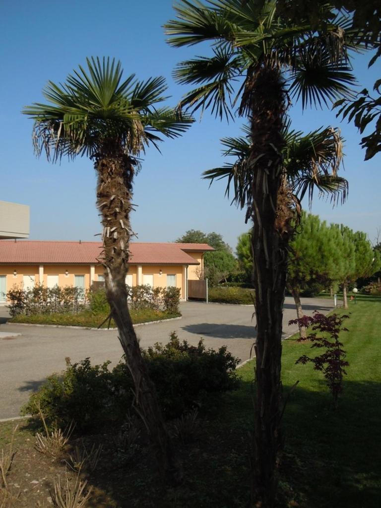 Hotel Motel Fiore Fiorenzuola dʼArda Екстериор снимка